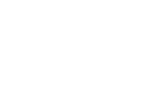 Bridgeflow