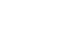 Stadt-Freiburg-Kopie-w